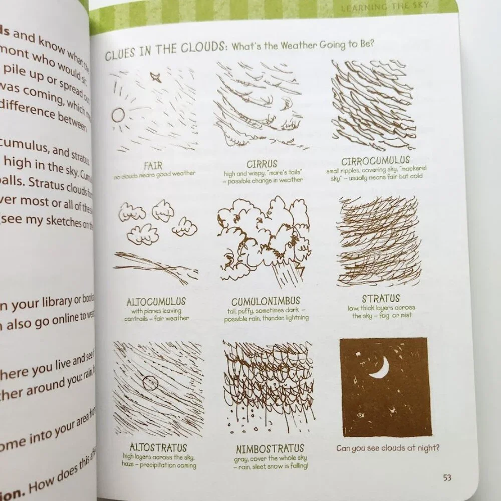 The Nature Connection Outdoor Workbook for Kids, Families, and Classrooms Clare